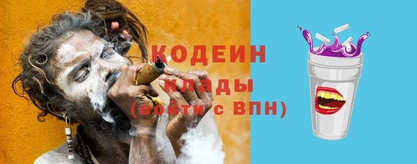 хмурый Белокуриха