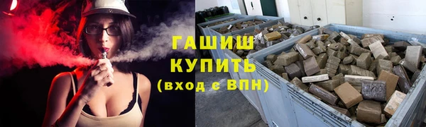 хмурый Белокуриха