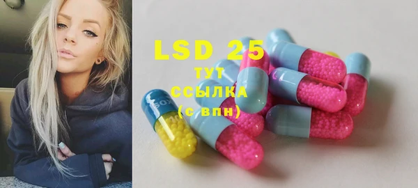 хмурый Белокуриха