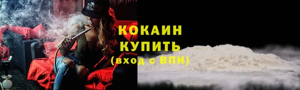 хмурый Белокуриха