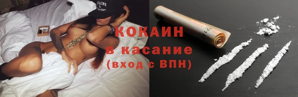 хмурый Белокуриха