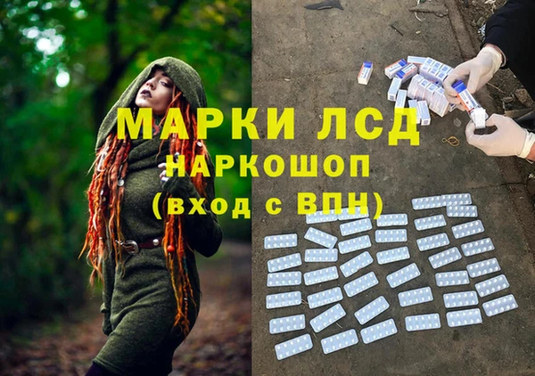 хмурый Белокуриха