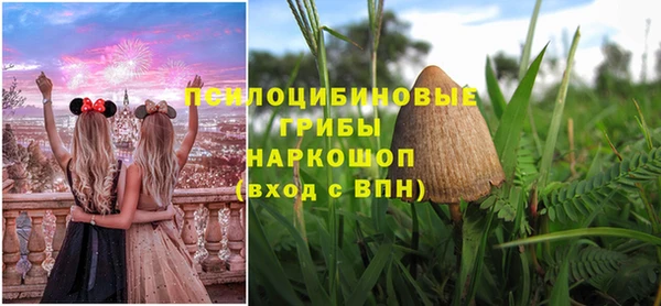 spice Белоозёрский