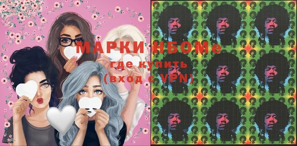 хмурый Белокуриха