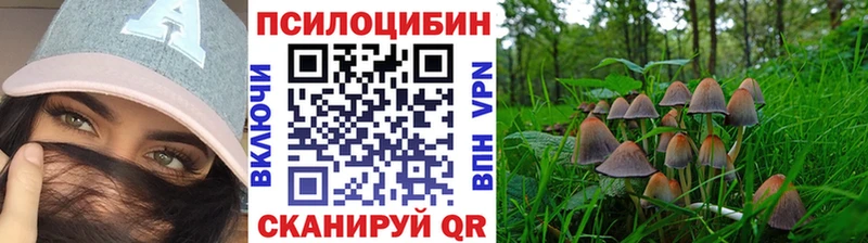 Псилоцибиновые грибы Cubensis  blacksprut маркетплейс  darknet клад  Белозерск 
